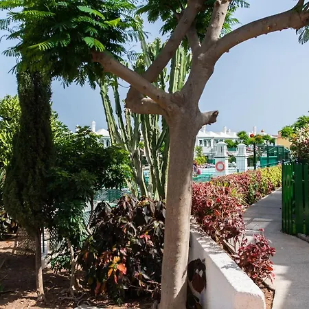 Vakantiehuis Acogedor Muy Luminoso Maspalomas (Gran Canaria)